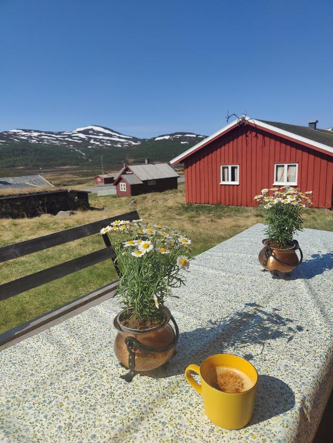 Kyrkjestolen B&B Tyinkrysset Extérieur photo
